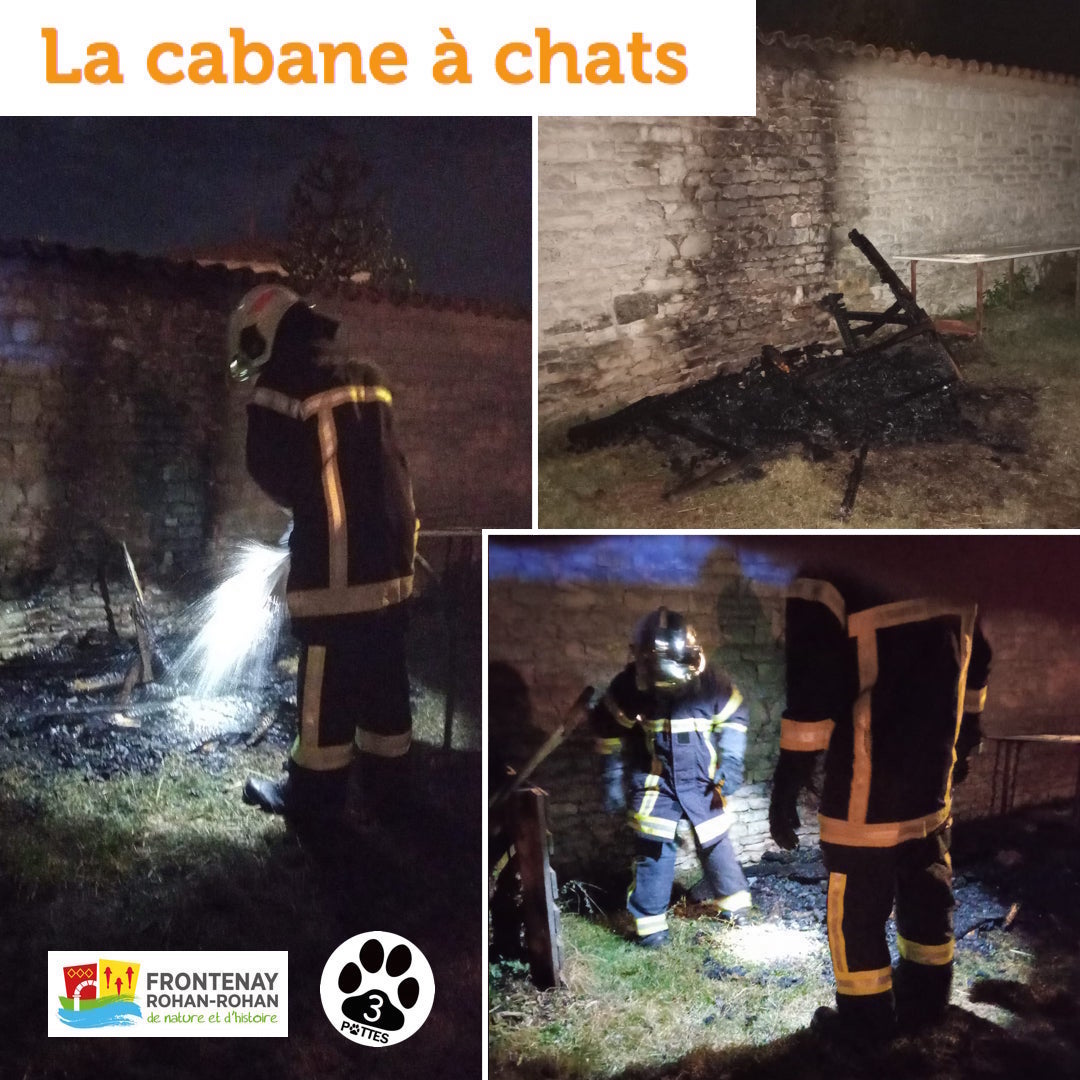 Cabane aux chats 2