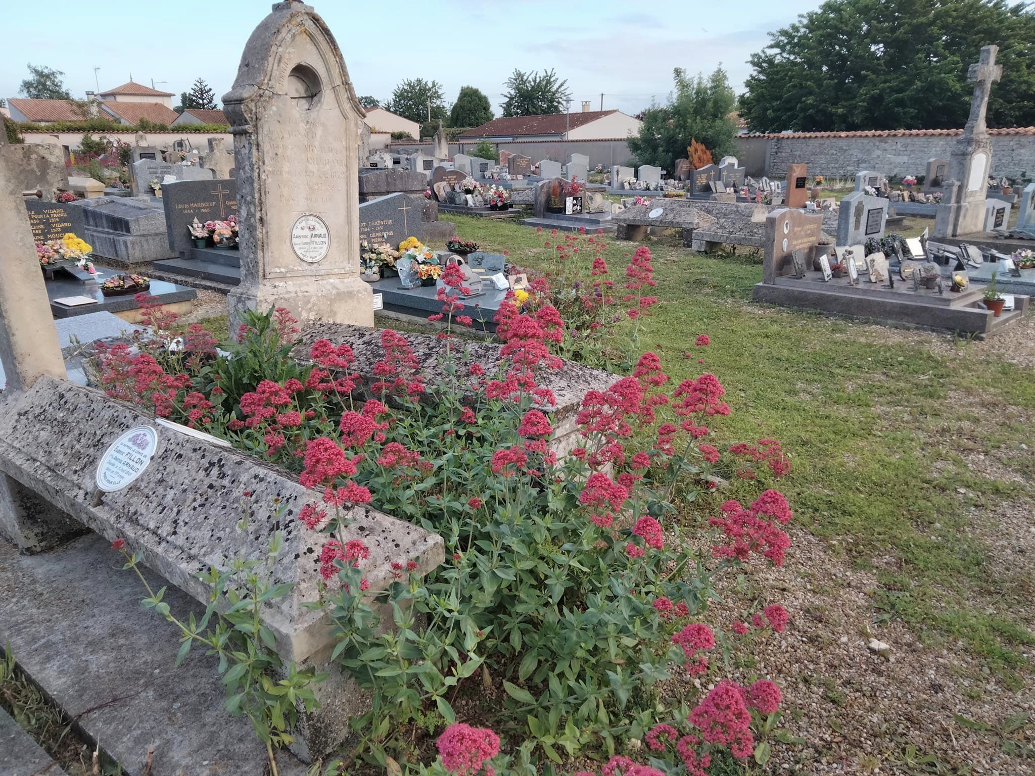 cimetière2